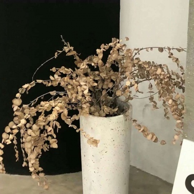 兽设场景透视绘画教程福瑞交流群